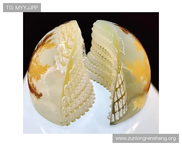 尊龙凯时平台官网最新版本全面升级，带你体验极致游戏娱乐享受