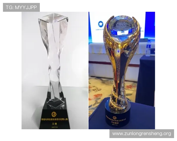 尊龙集团中国官方网站关于企业社会责任与公益项目的详细介绍